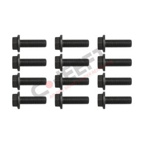 Boltst for bremsekaliber 12 stk. M16 X 1,5 X 50 MM