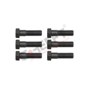 Boltst for bremsekaliber 6 stk. M20 x 2,5 x 48 x 70 mm