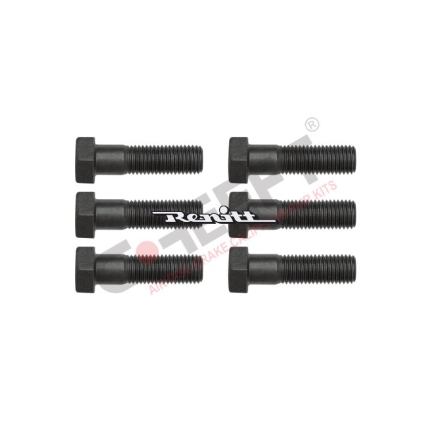 Boltst for bremsekaliber 6 stk. M20 x 2,5 x 48 x 70 mm